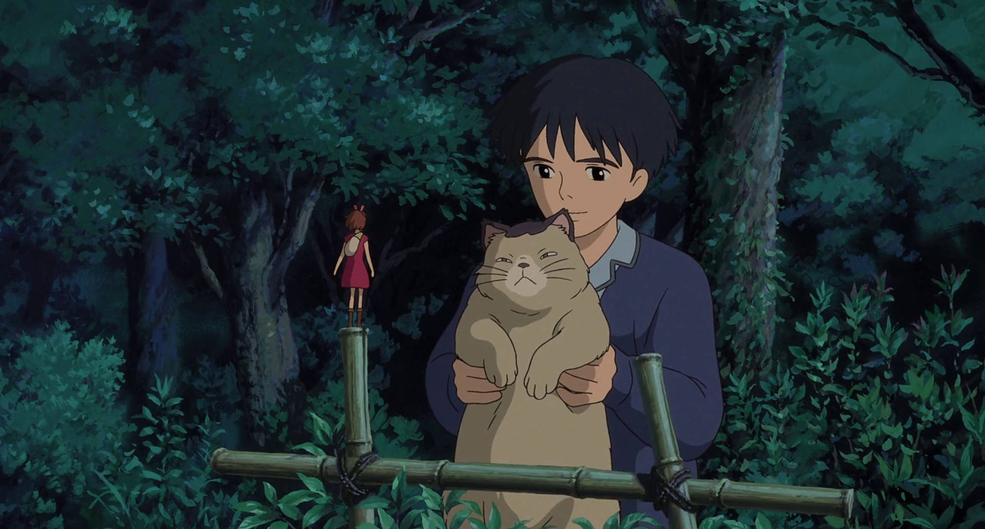 Arrietty Sho And Cat Background