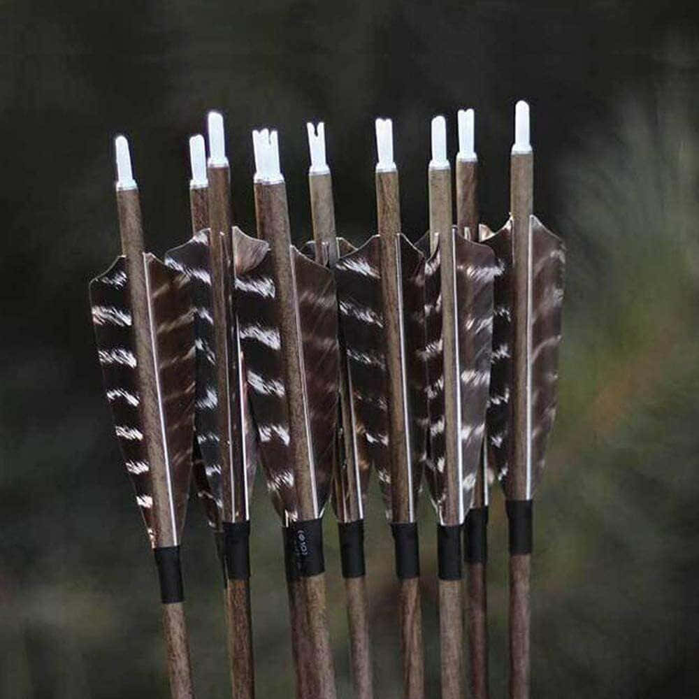 A Group Of Arrows With White Tips And Black Tips