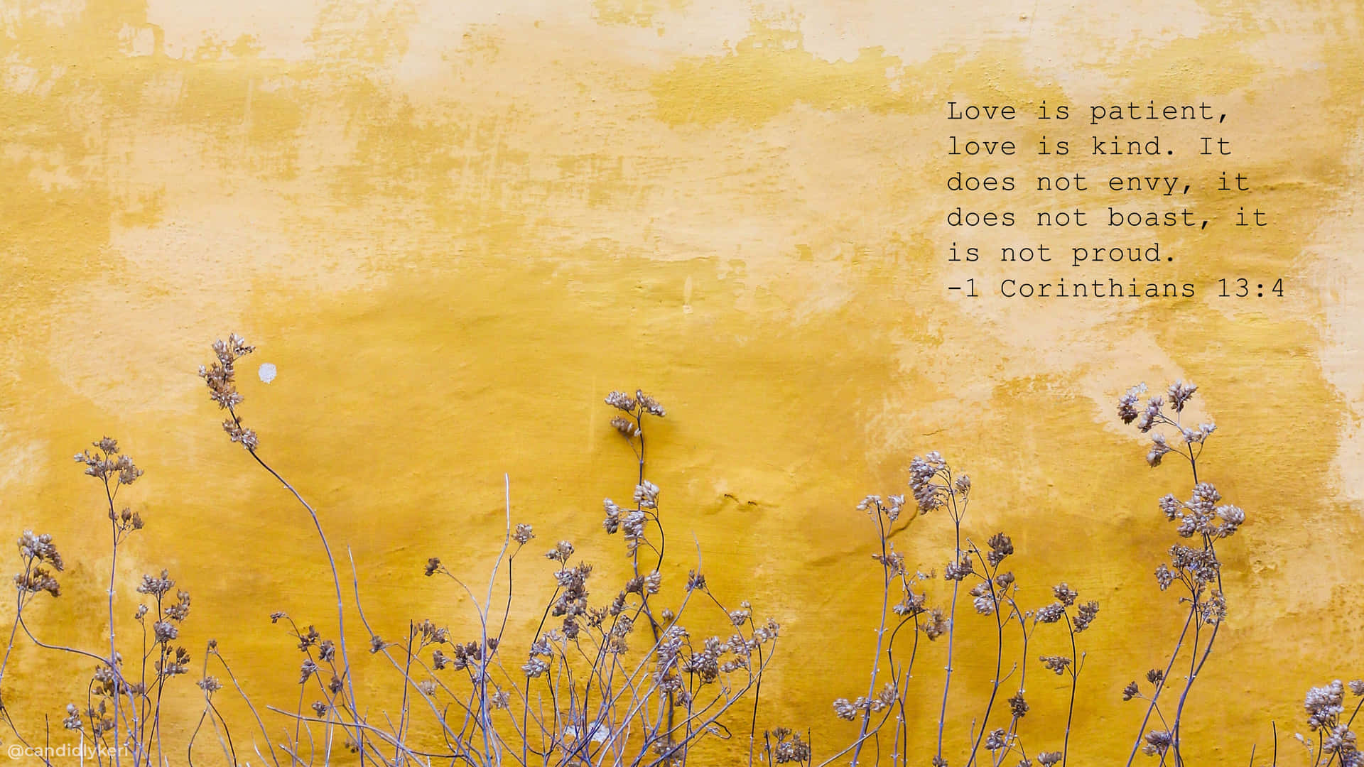 En gul væg med et citat der siger 