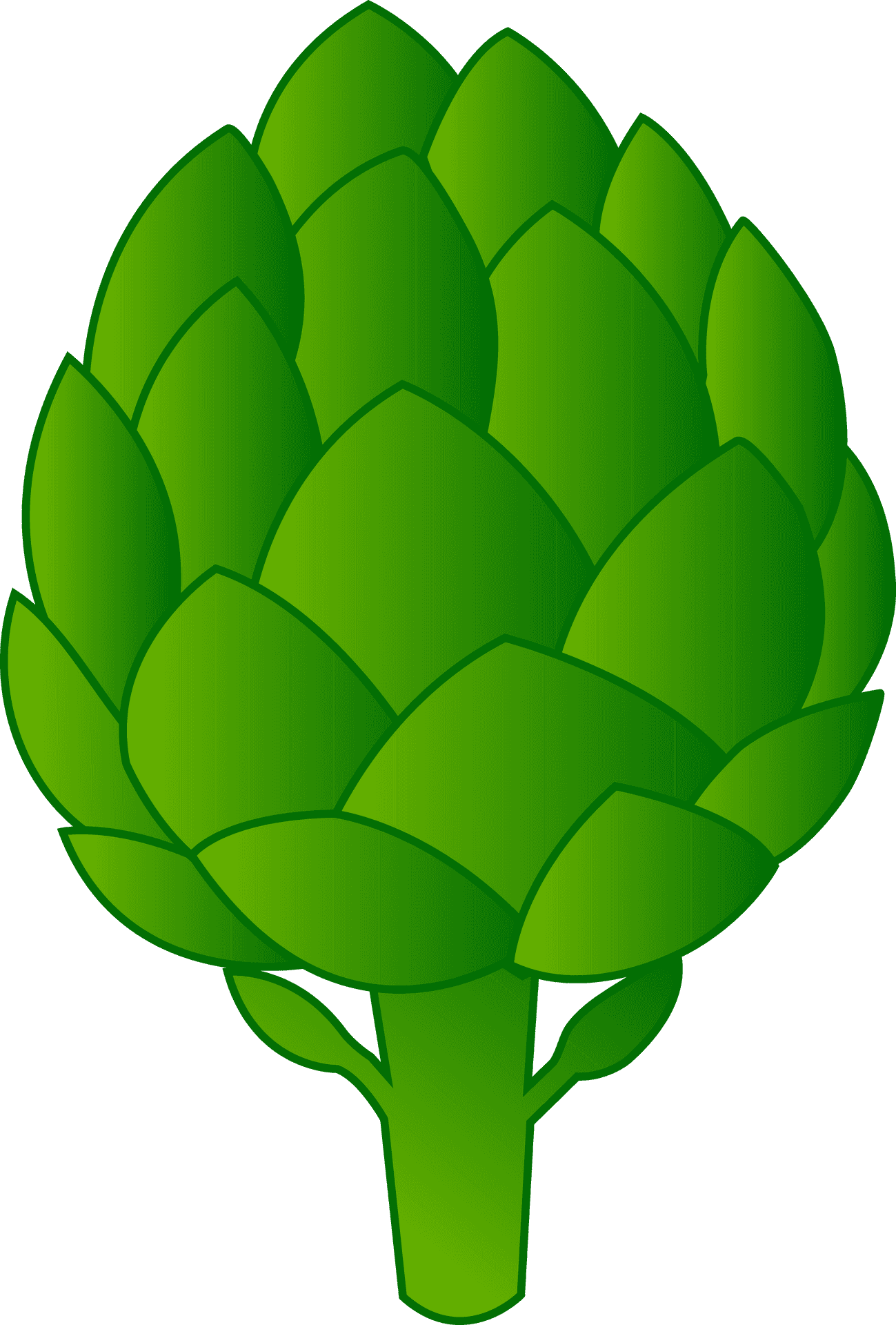 Artichoke Vector Illustration PNG