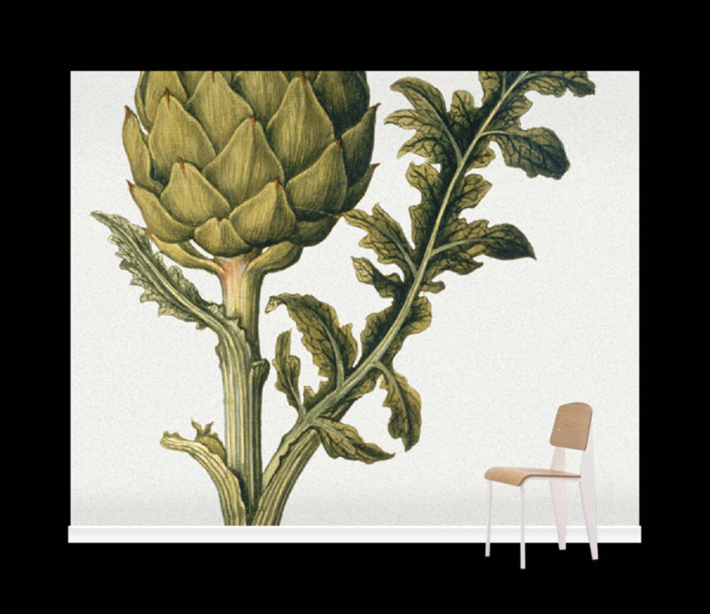 Artichoke Vegetable As A Mural Art Picture