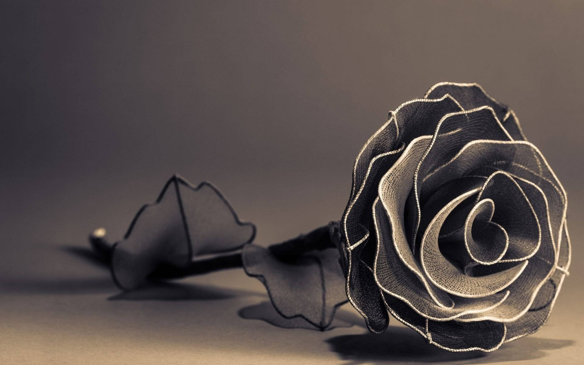 Artificial Black And White Rose Wallpaper