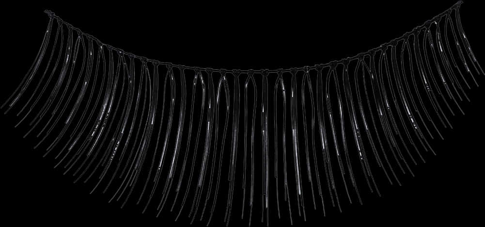 Artificial Eyelashes Black Background PNG