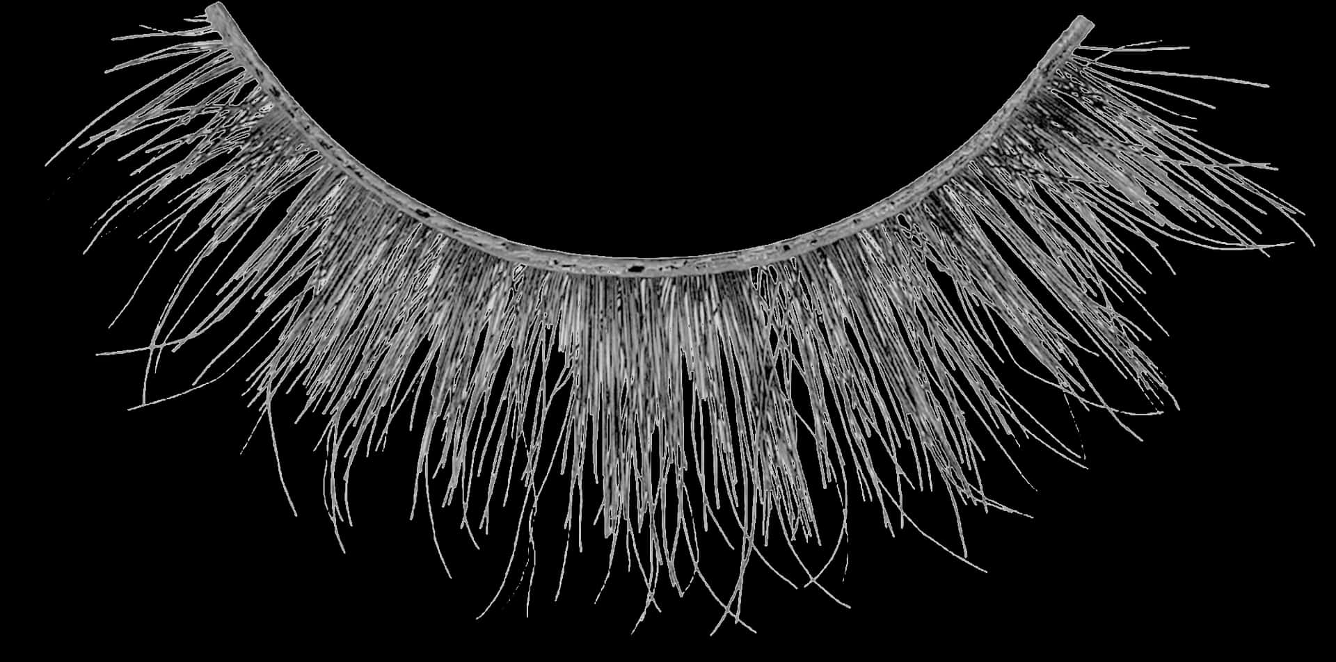 Artificial Eyelashon Black Background PNG