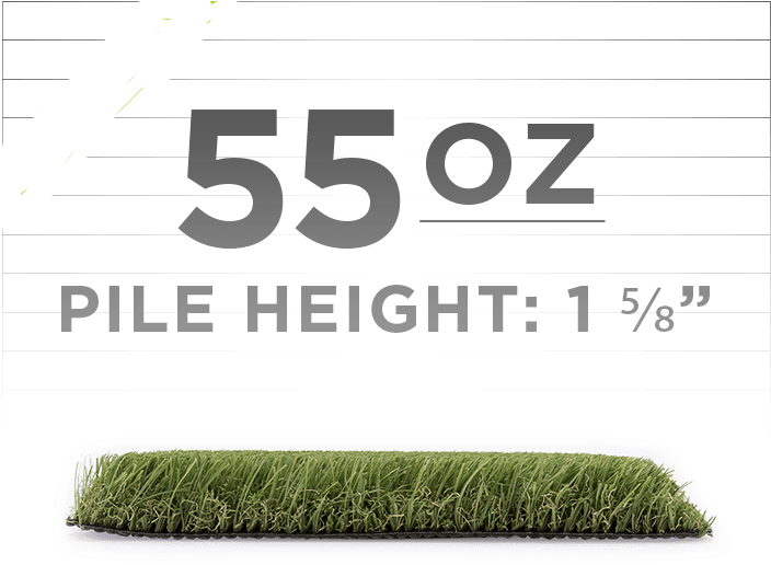 Artificial Grass Specifications PNG