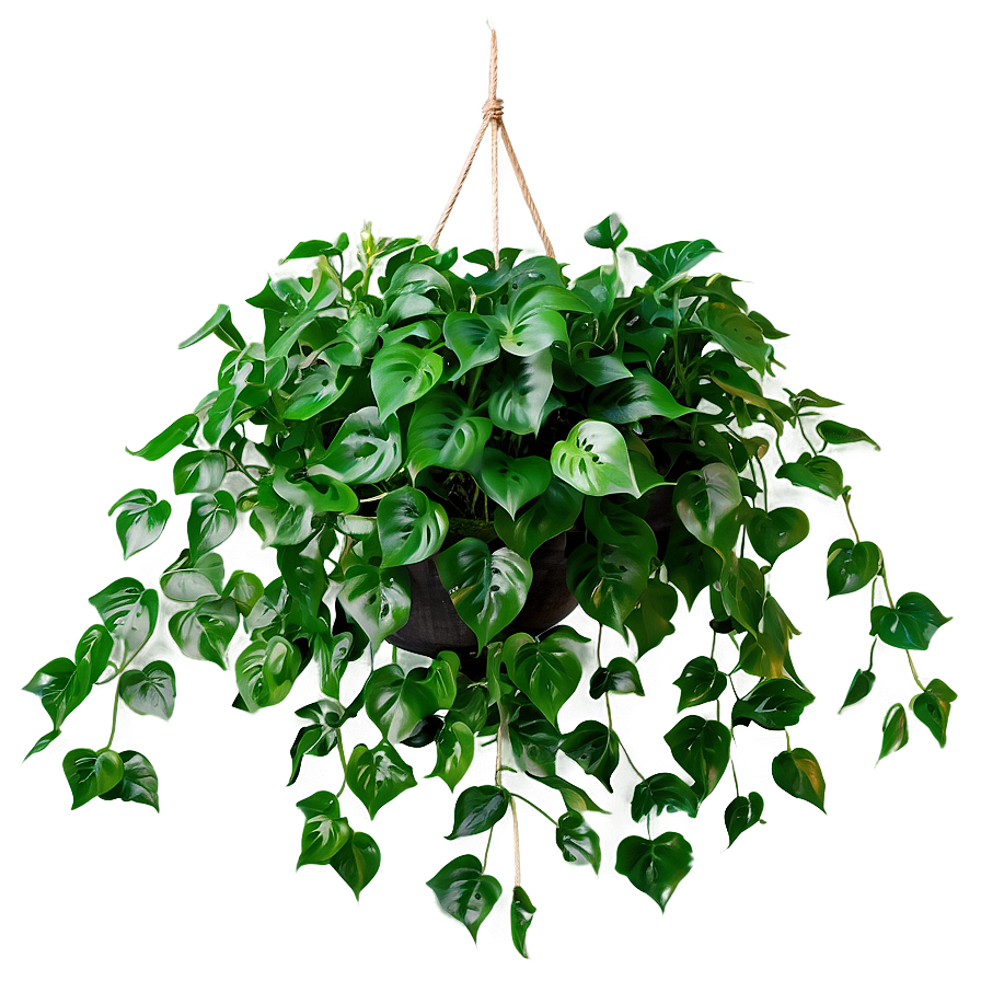 Artificial Hanging Plant Png Qba PNG