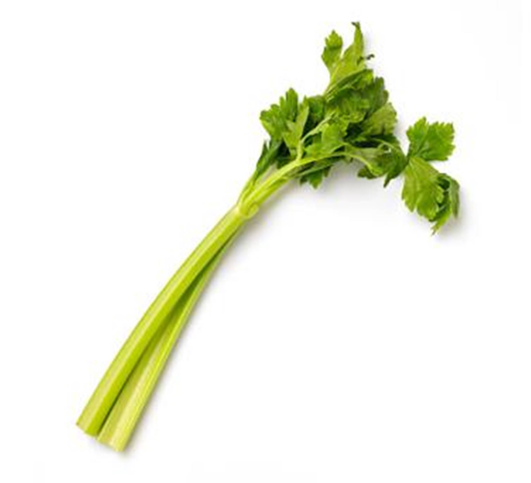 Artificial Leafy Celery Stalks Wallpaper