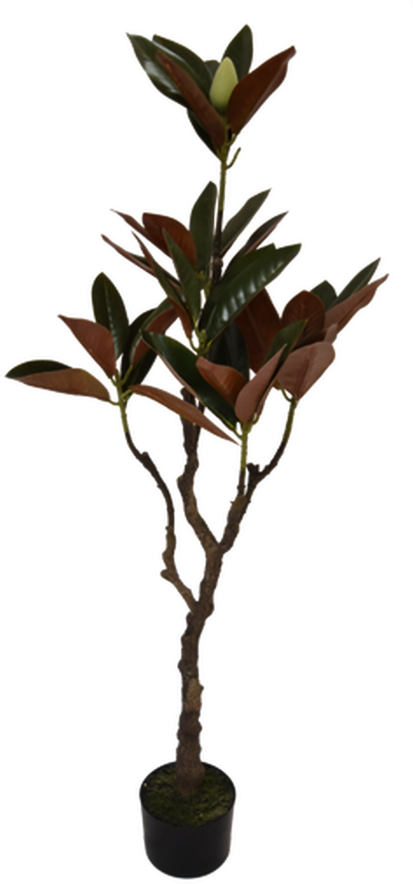 Artificial Magnolia Tree Decoration PNG