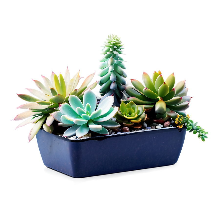 Artificial Succulents Design Png Yel85 PNG