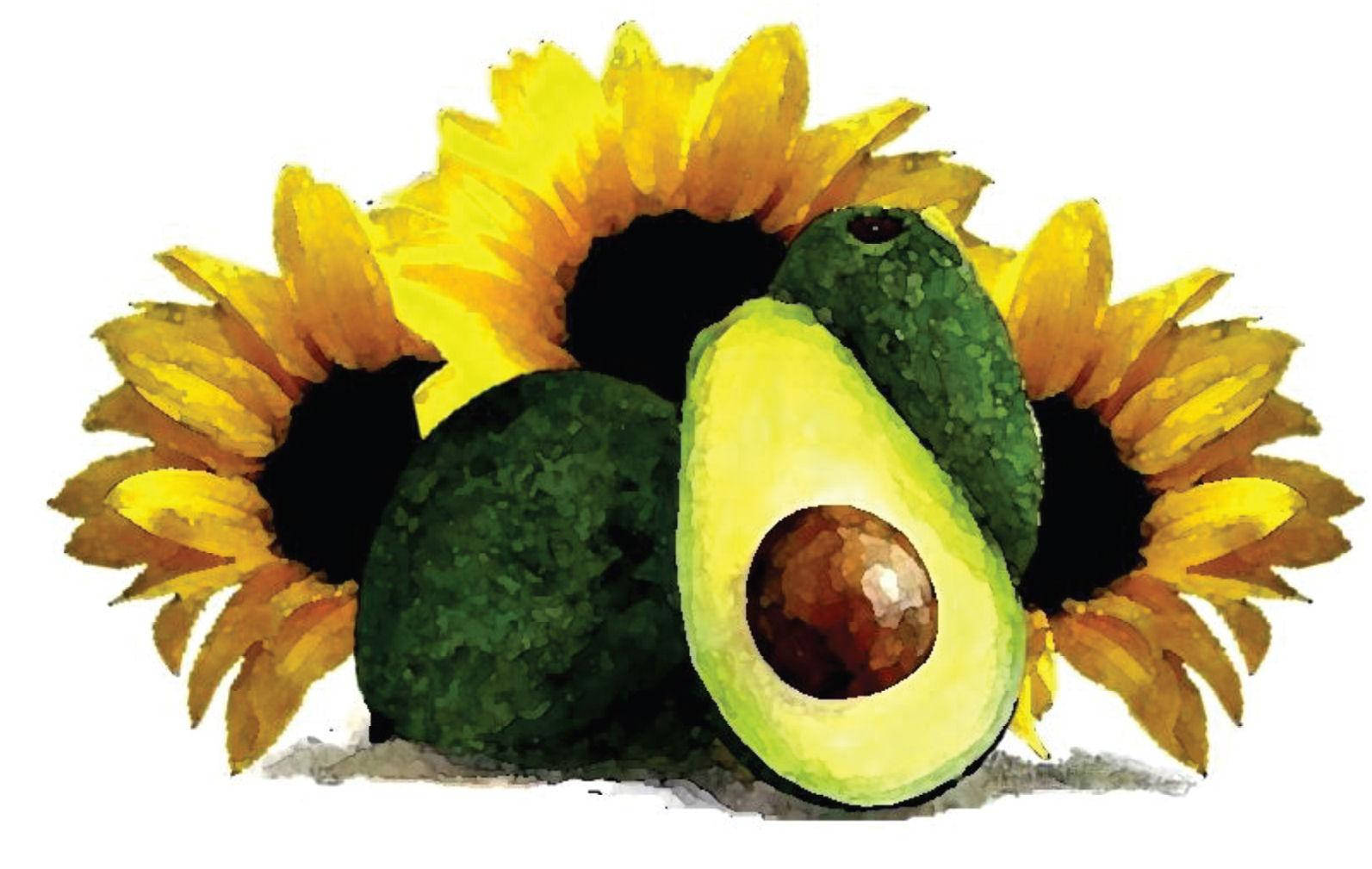 Artistic Avocado Fruits And Sunflowers Painting Picture