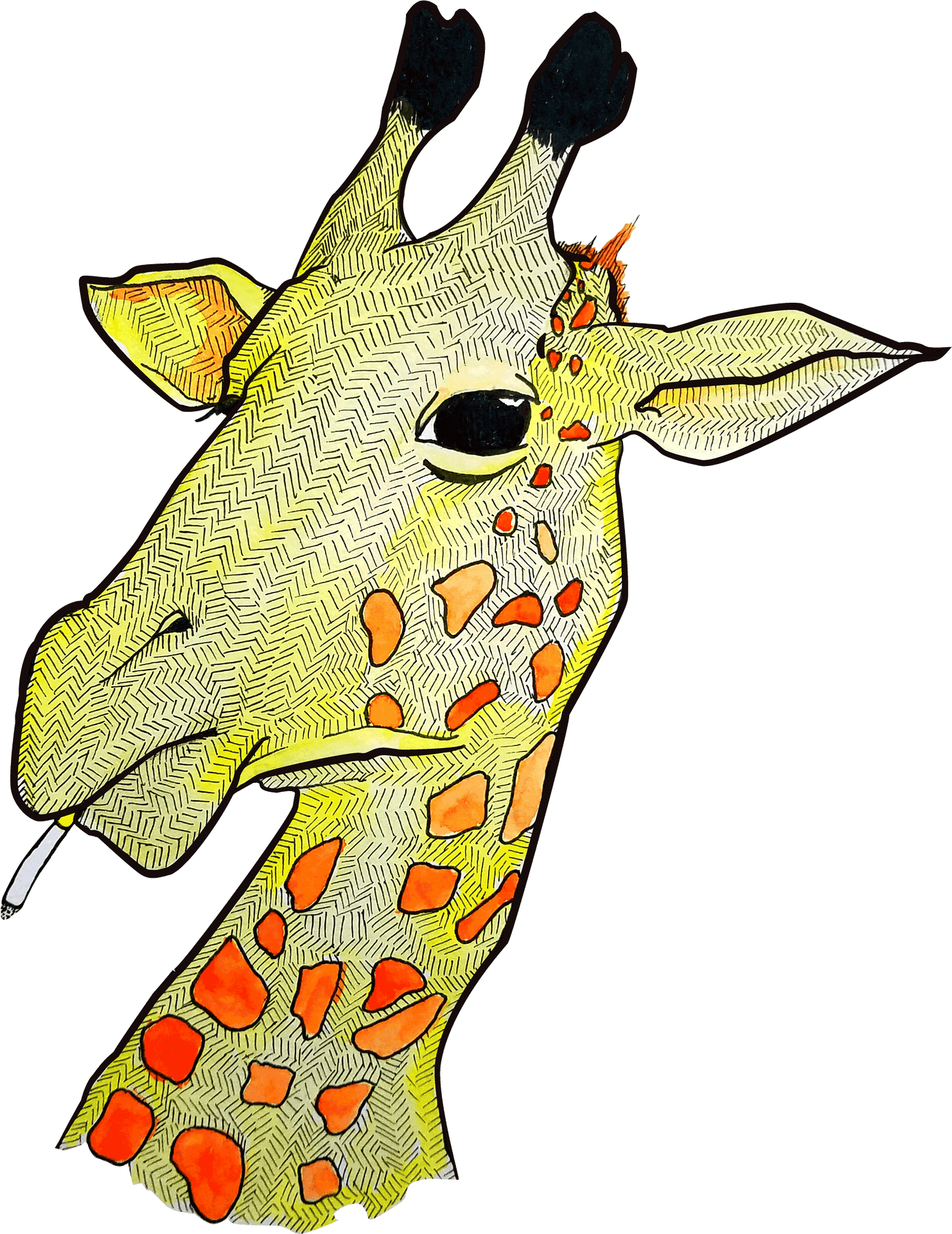 Artistic Giraffe Portrait PNG