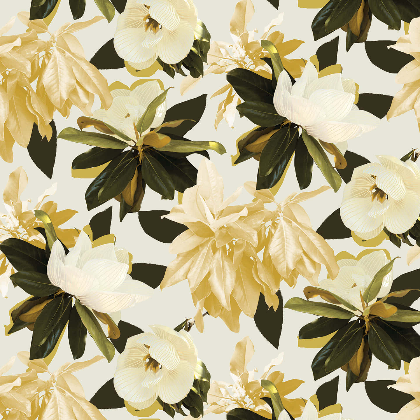 Patrónartístico De Impresión De Flores De Magnolia Fondo de pantalla