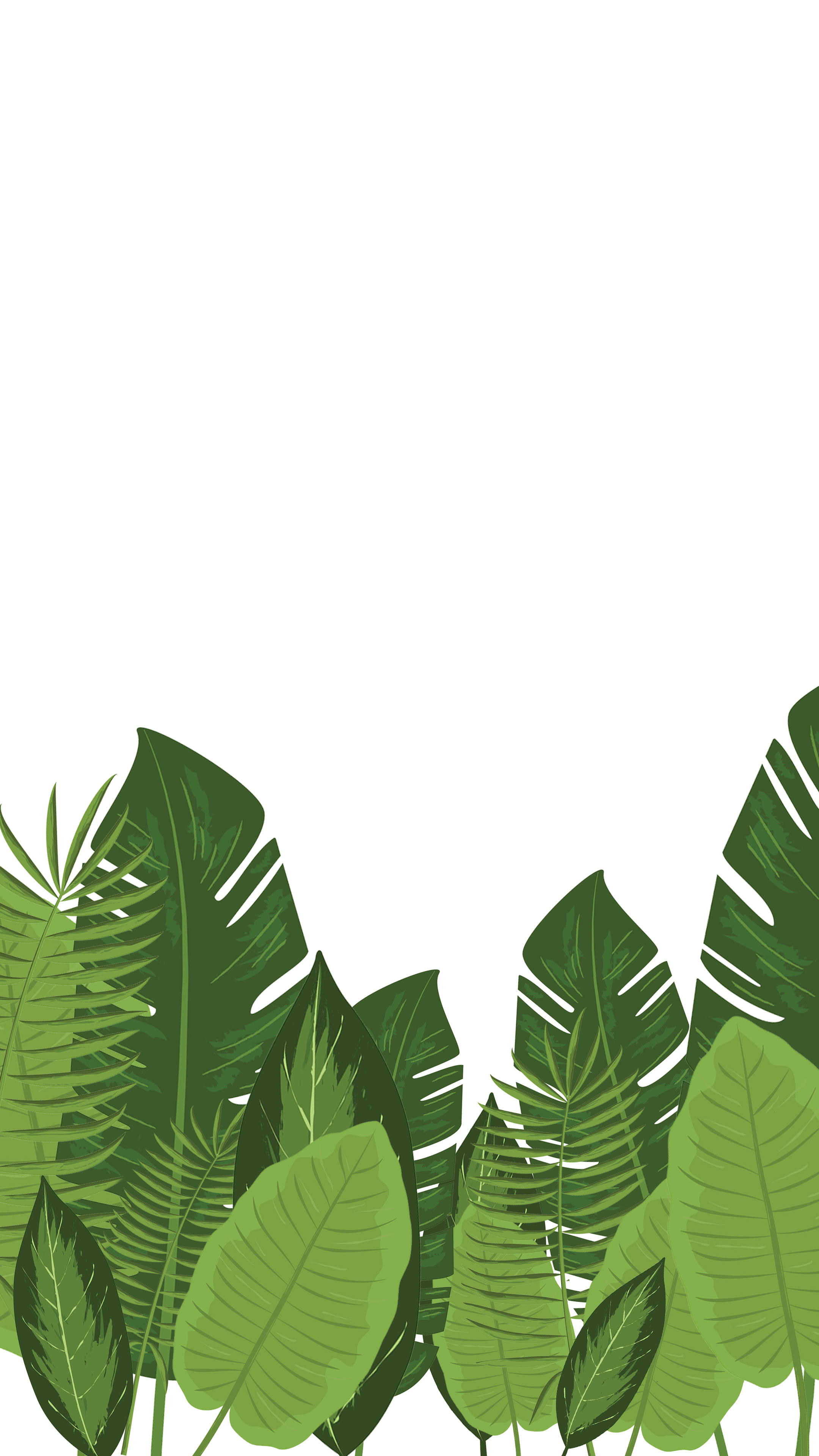 Artistic Minimalist Plant Leaf Illustration Wallpaper