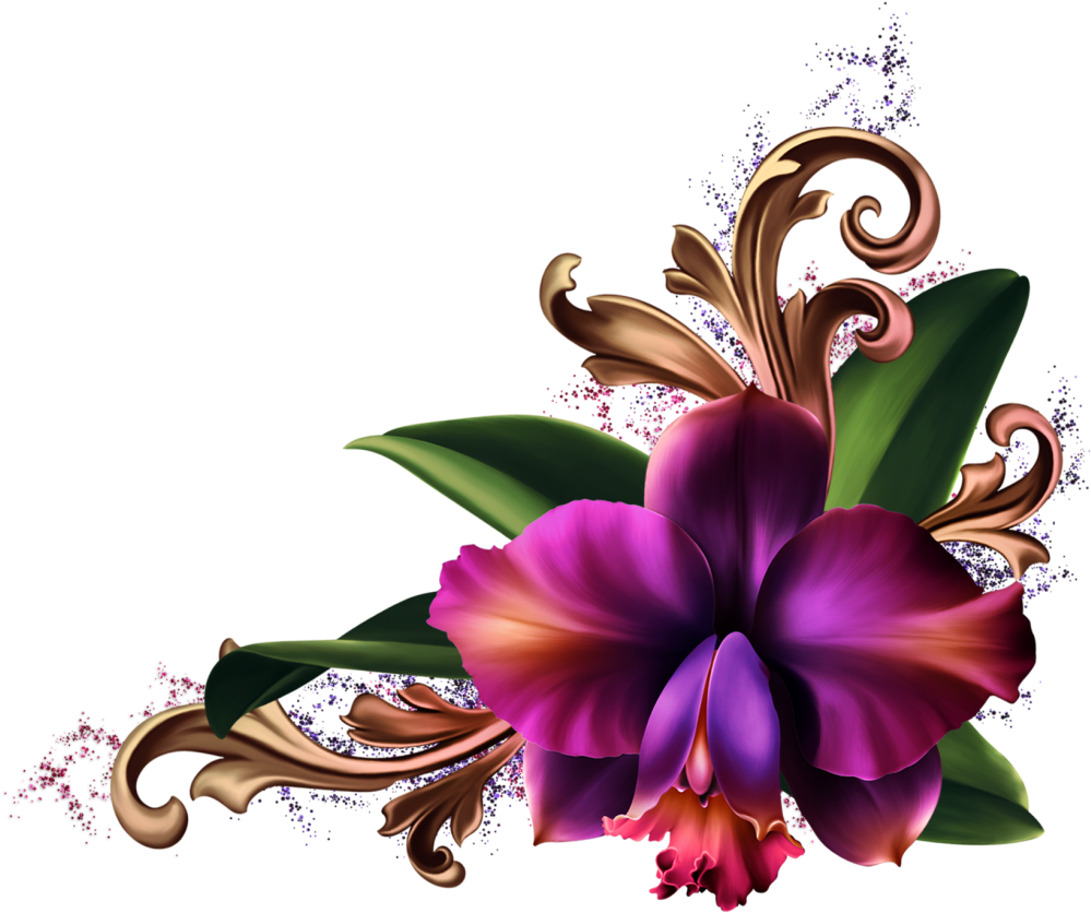 Artistic Orchid Illustration PNG