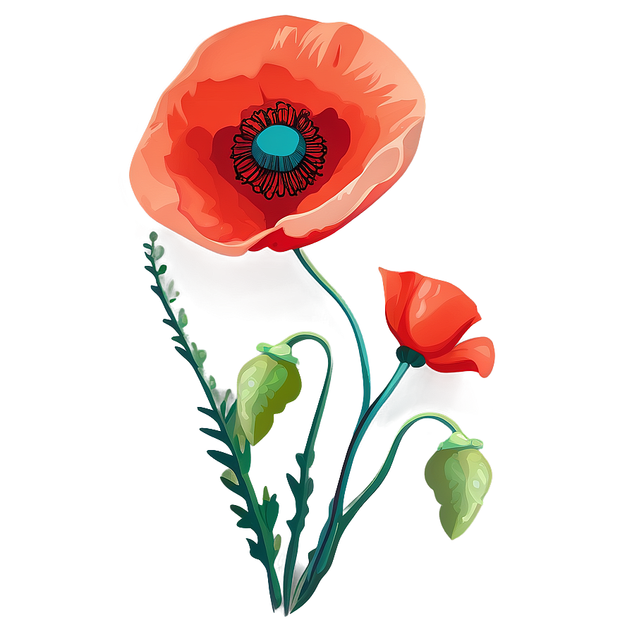 Artistic Poppy Flower Vector Png 06252024 PNG