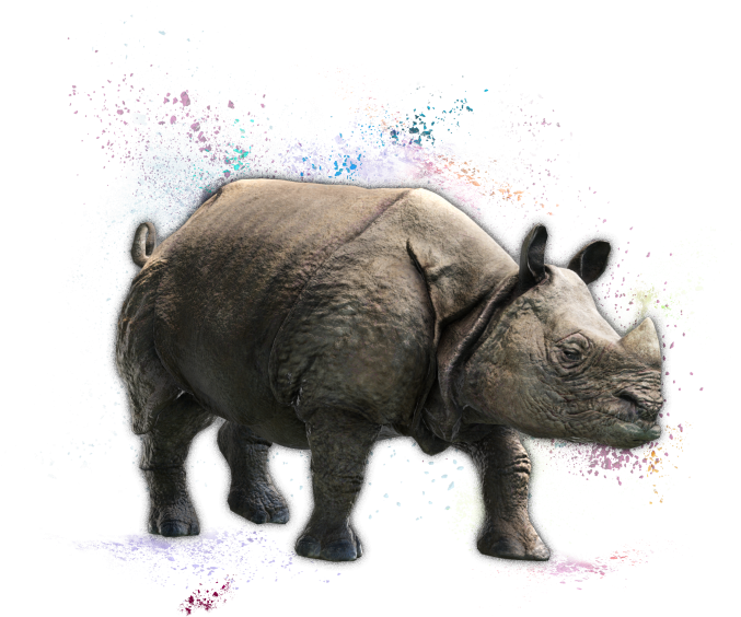 Artistic Rhinoceroswith Color Splash PNG