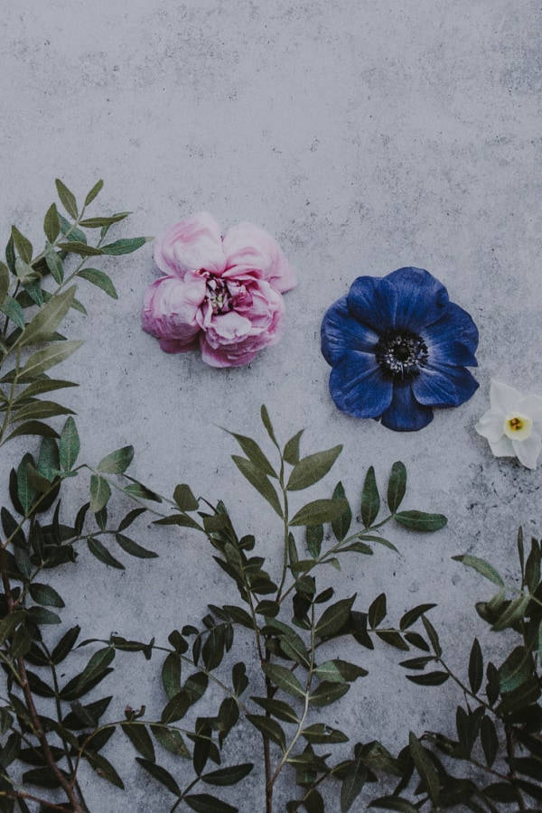 Artistic Vintage Flower Aesthetic Flat Lay Background