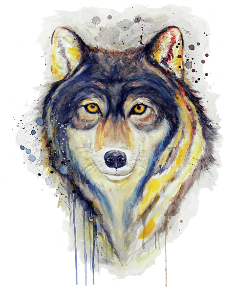 Artistic Wolf Portrait Watercolor PNG