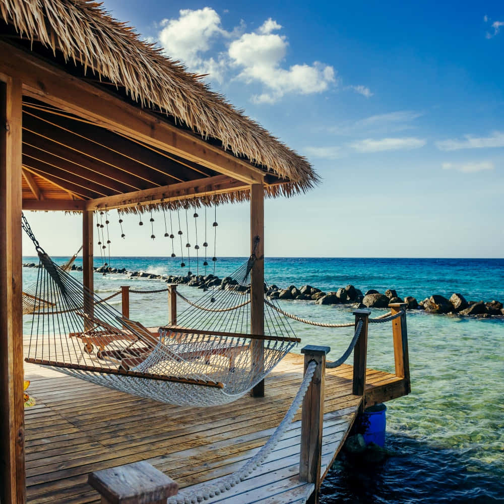 A breathtaking view of the pristine Aruba coastline