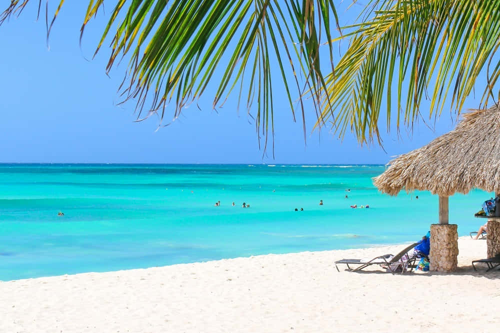 Imágenesde La Playa De Aruba Con Un Océano Claro Y Azul.