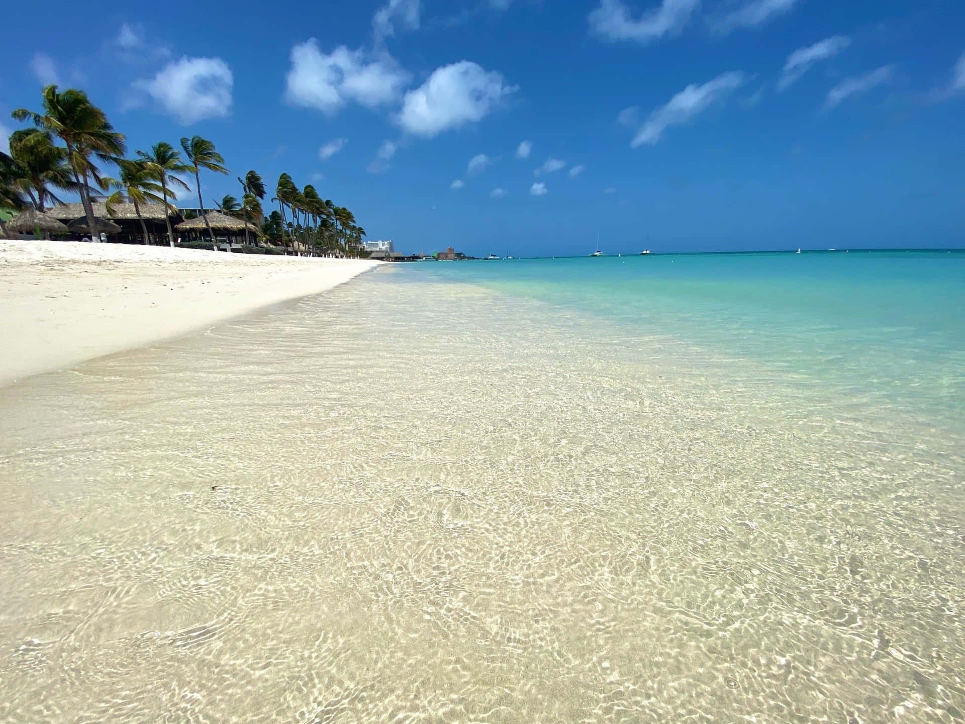Immaginidella Spiaggia Di Aruba Con Un Oceano Limpido.