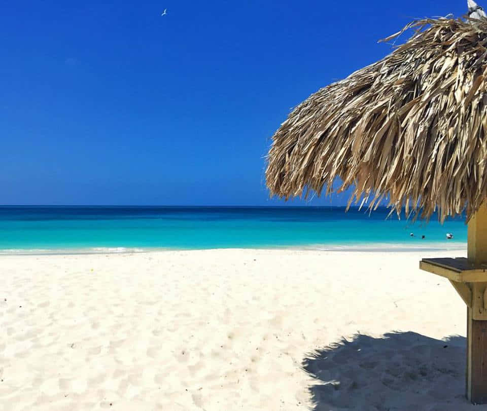 Fotodelle Capanne Sulla Spiaggia Di Aruba.
