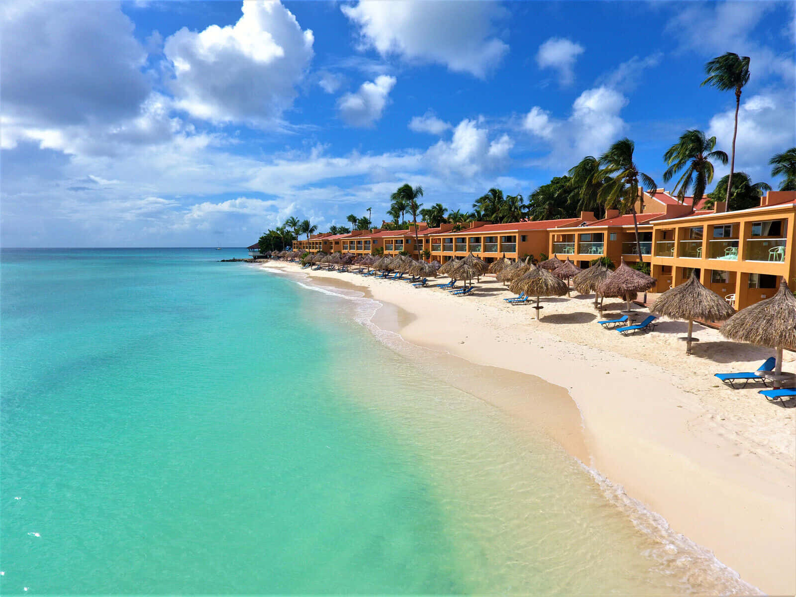 ¡disfrutandode Un Día Soleado En La Hermosa Playa De Aruba!