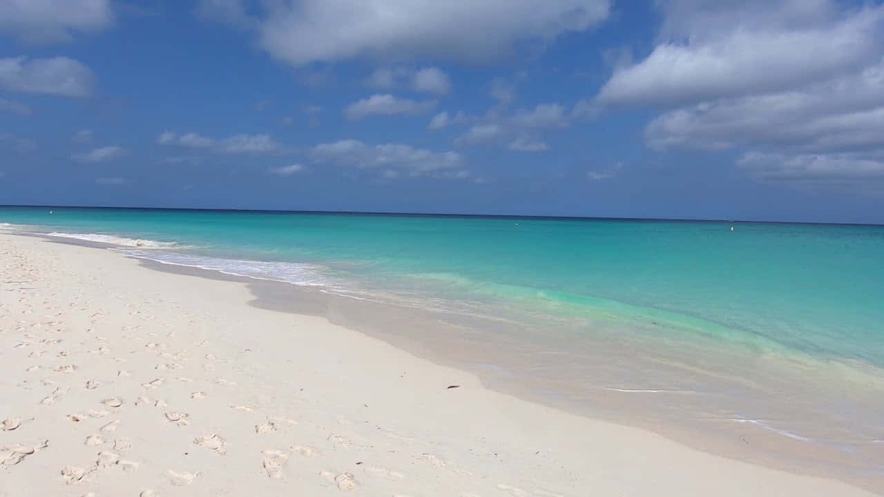 Calm Aruba Beach Pictures
