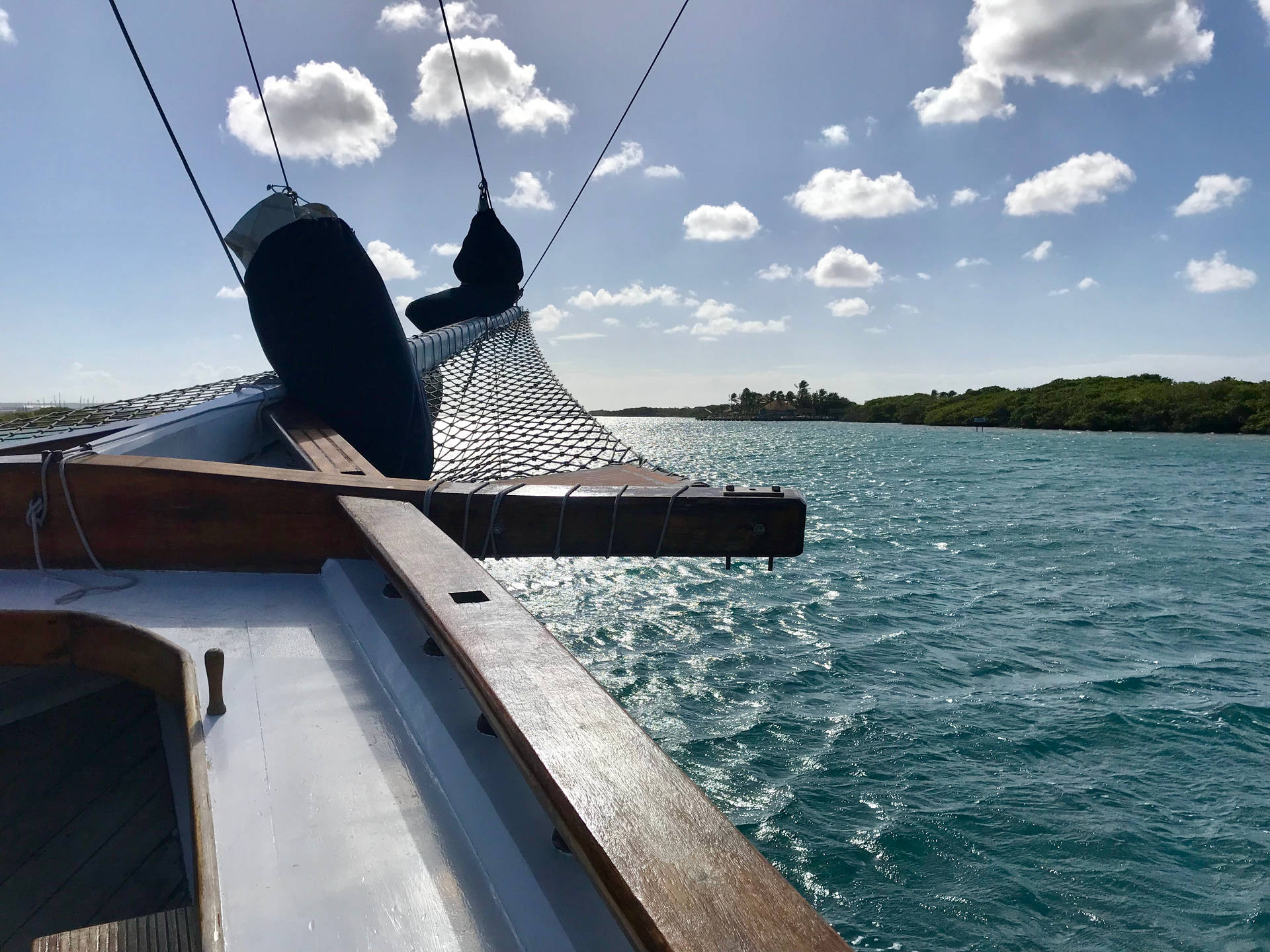 Aruba Cruising View