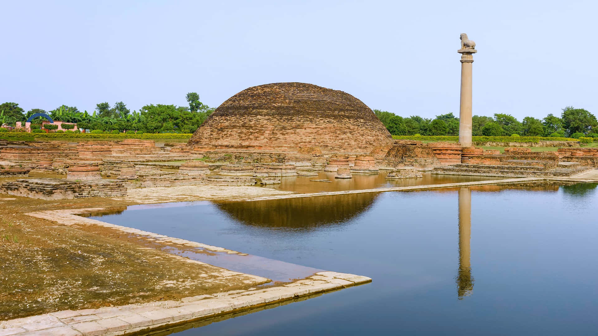 Ilmaestoso Pilastro Di Ashoka Presso Lo Stupa Di Ananda Sfondo