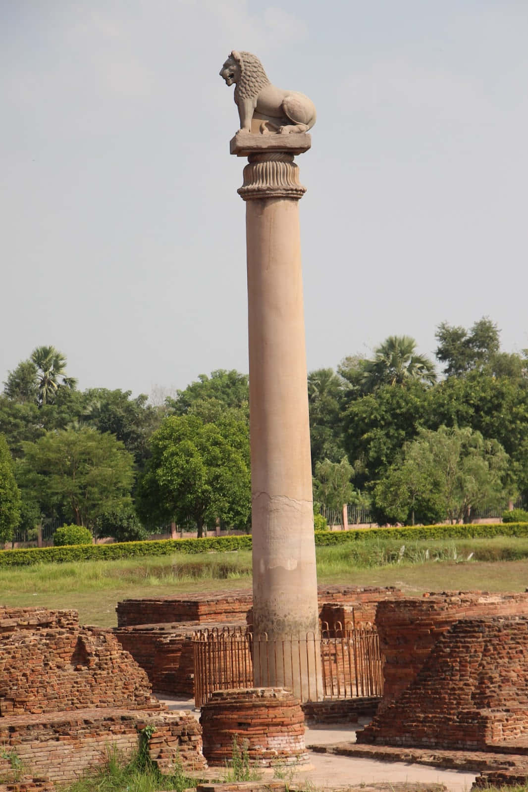 Ashoka Pillar Monolithic Columns Wallpaper