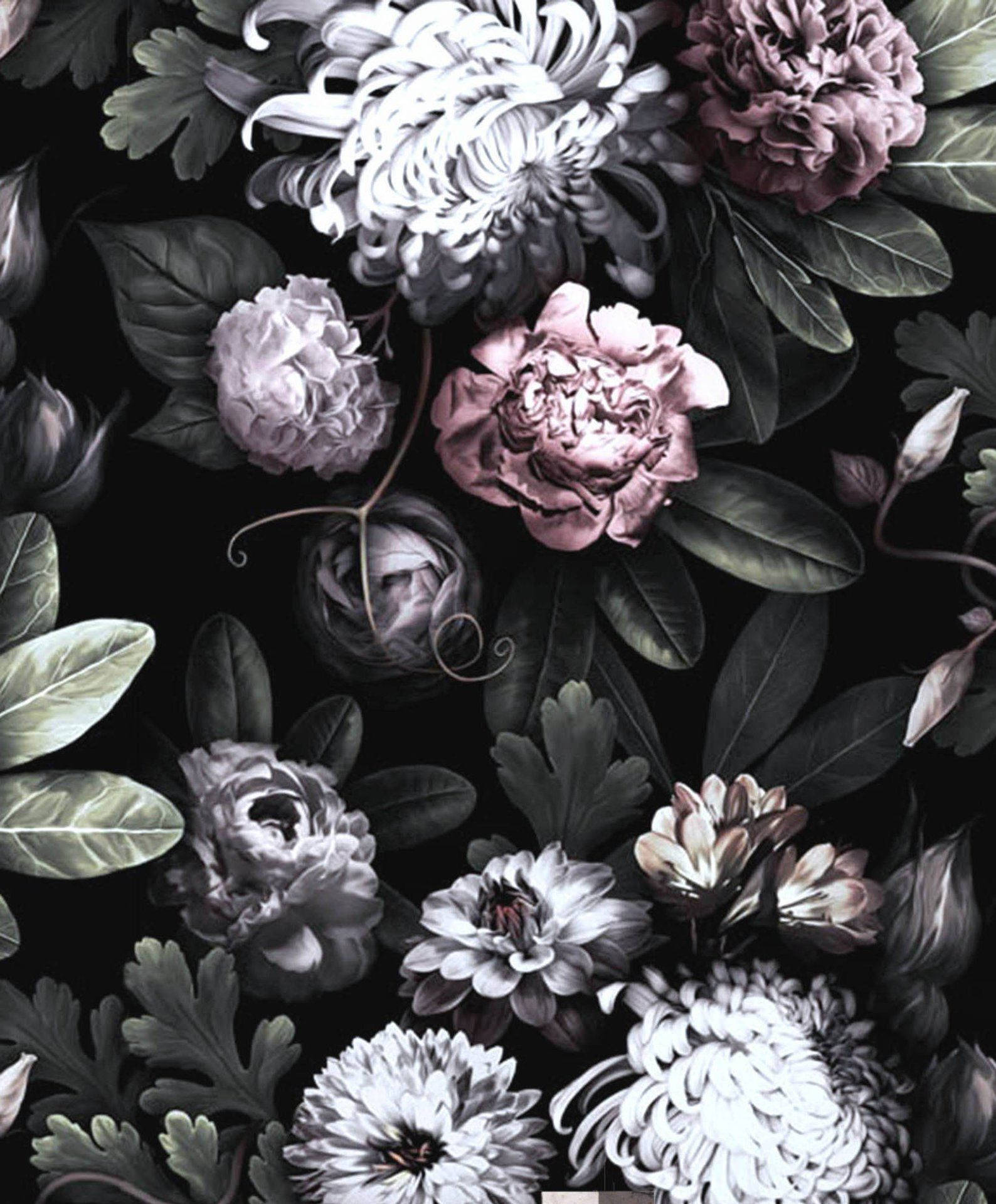 Ashy Dark Hd Flowers Phone Wallpaper