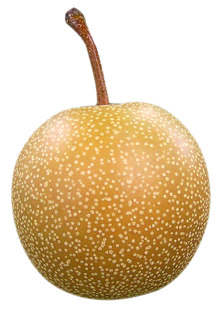 Asian Pear Fruit Texture PNG