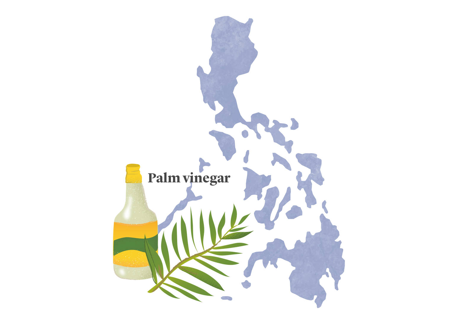 Asian Spices Philippines Palm Vinegar Background