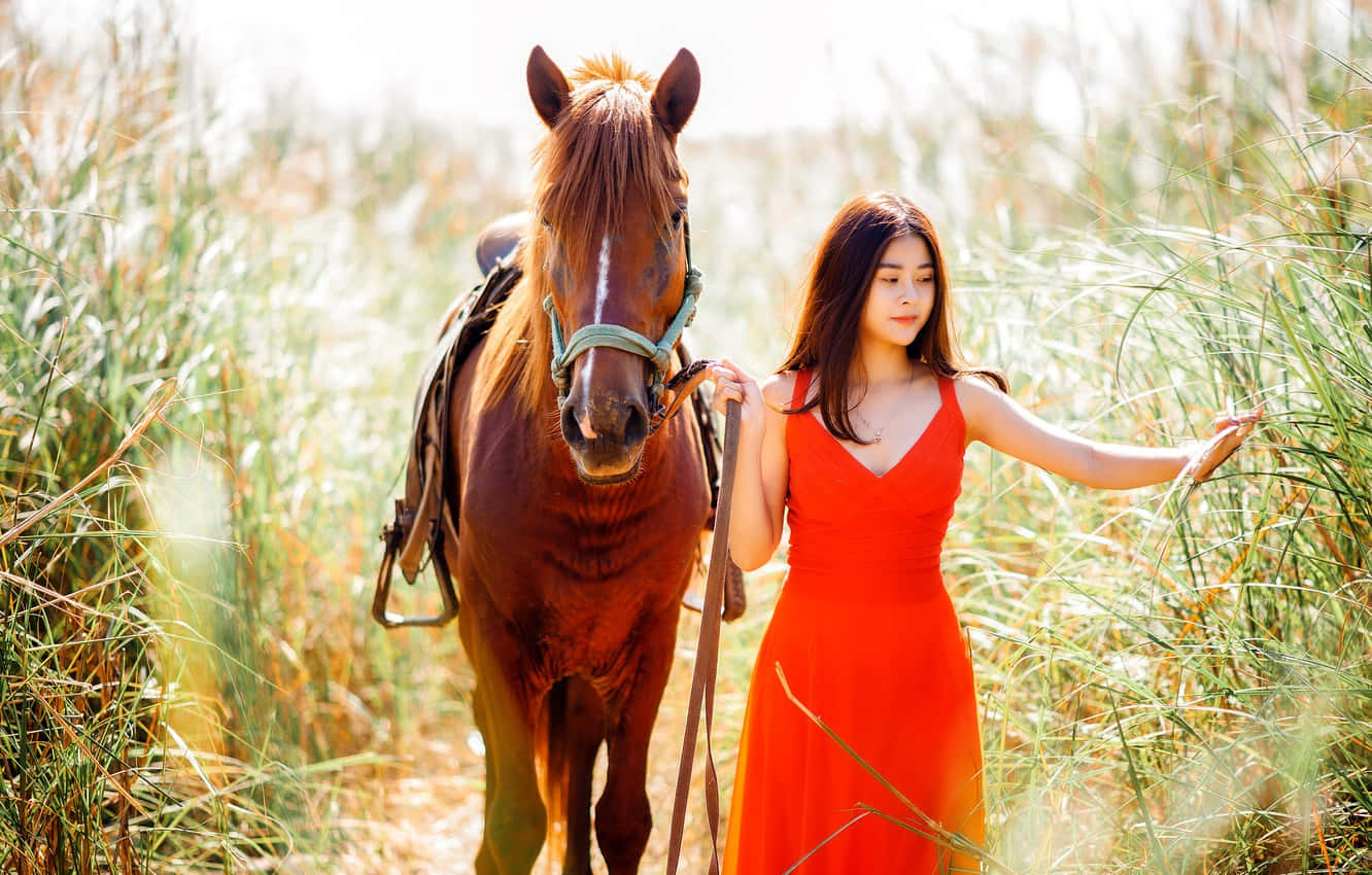 Asian Woman Walking With Horse Wallpaper