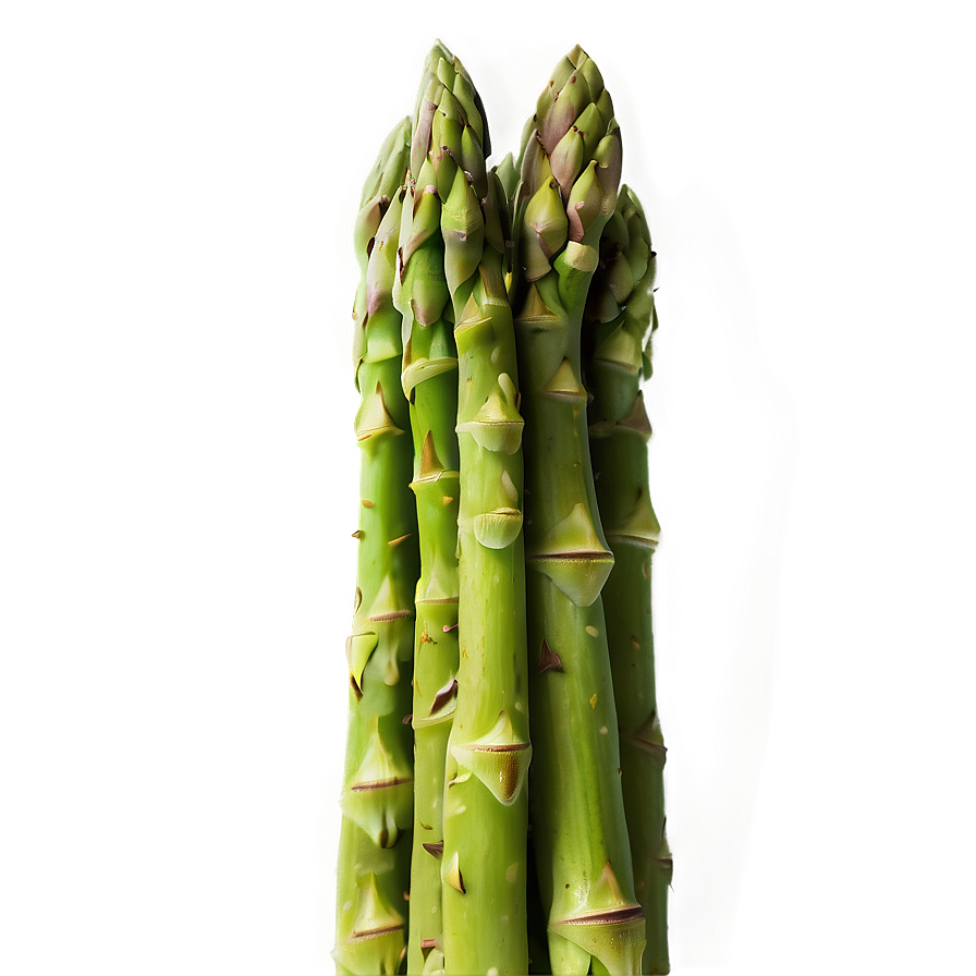 Download Asparagus C | Wallpapers.com