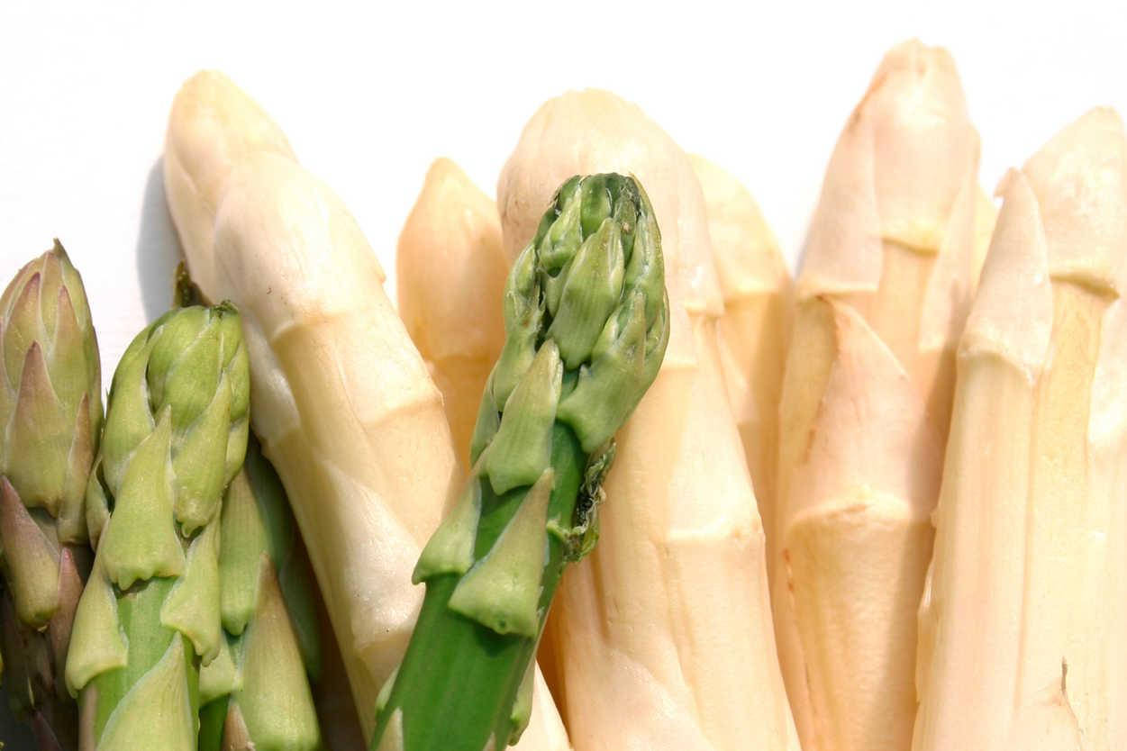 Fresh Green and White Asparagus Stalks Wallpaper