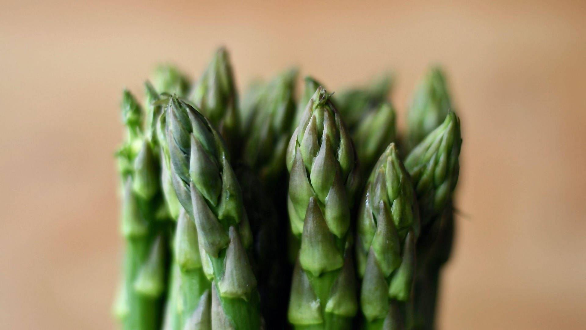 Asparagus Green Young Vegetable Shoots Wallpaper