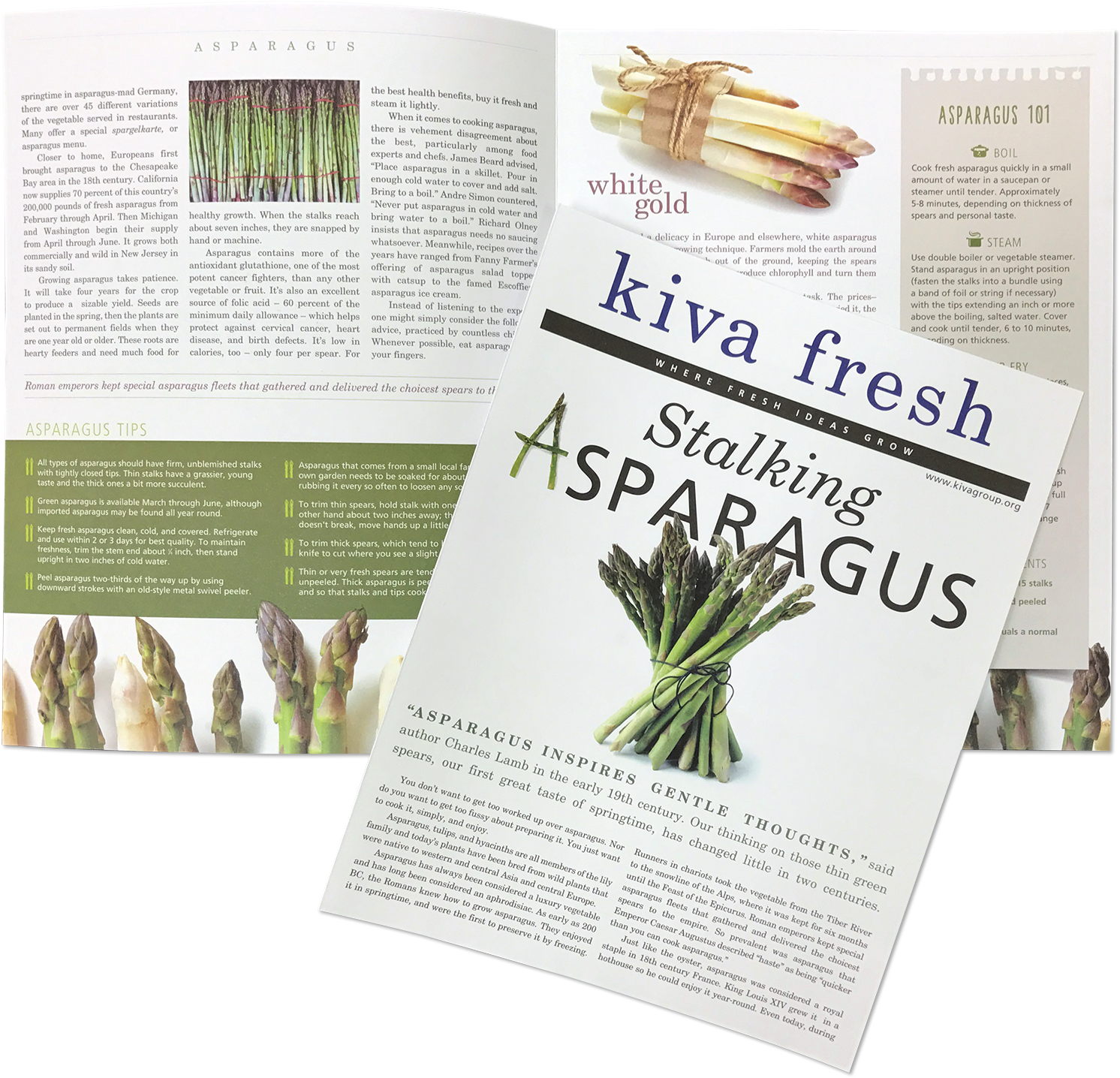 Asparagus Magazine Articles Spread PNG