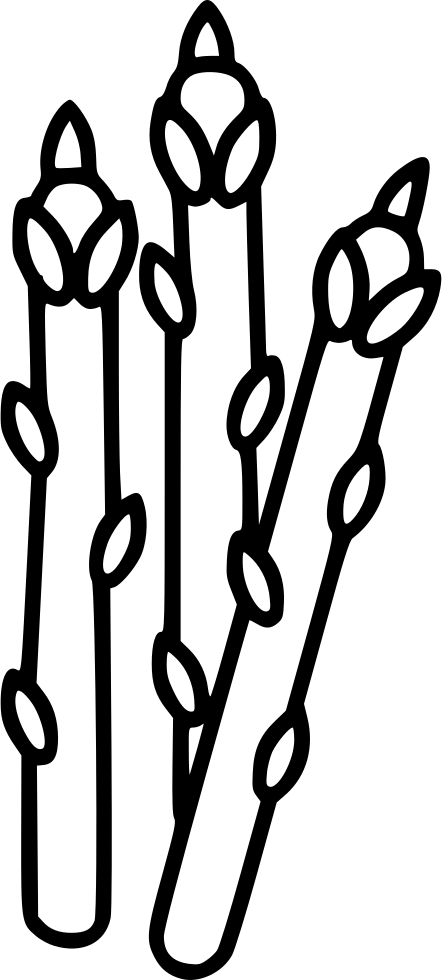Asparagus Stalks Line Art PNG