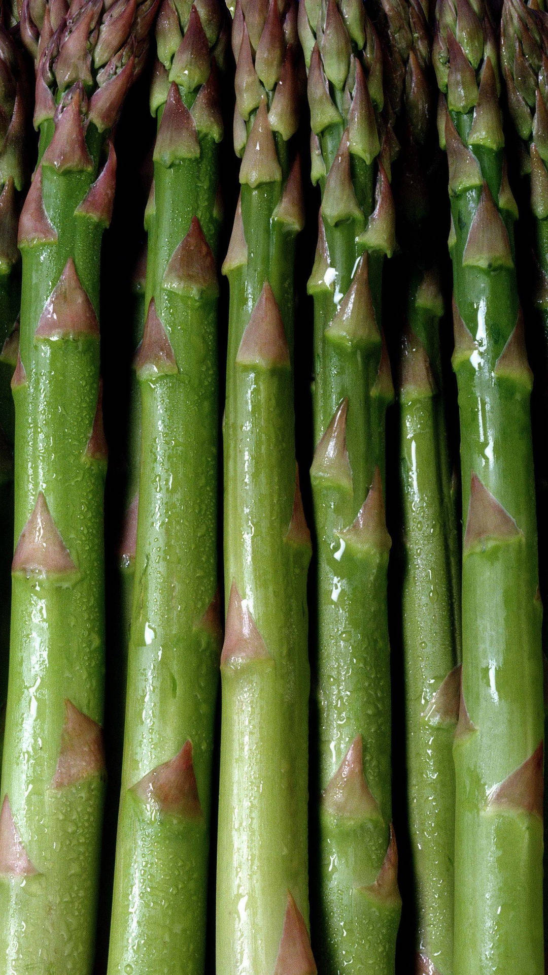 Asparagus Steamed Green Vegetables Wallpaper