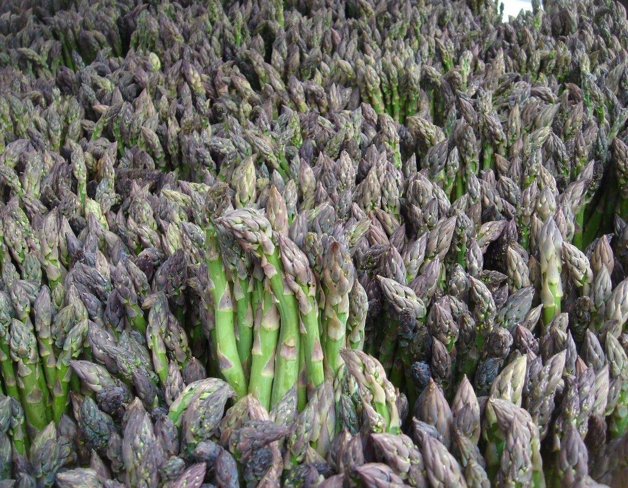 Asparagus Vegetables With Grey Leaves Wallpaper