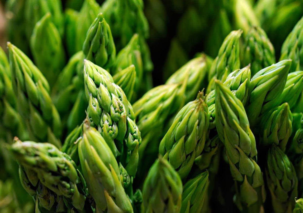 Grønne asparges med friske blade vægbillede Wallpaper