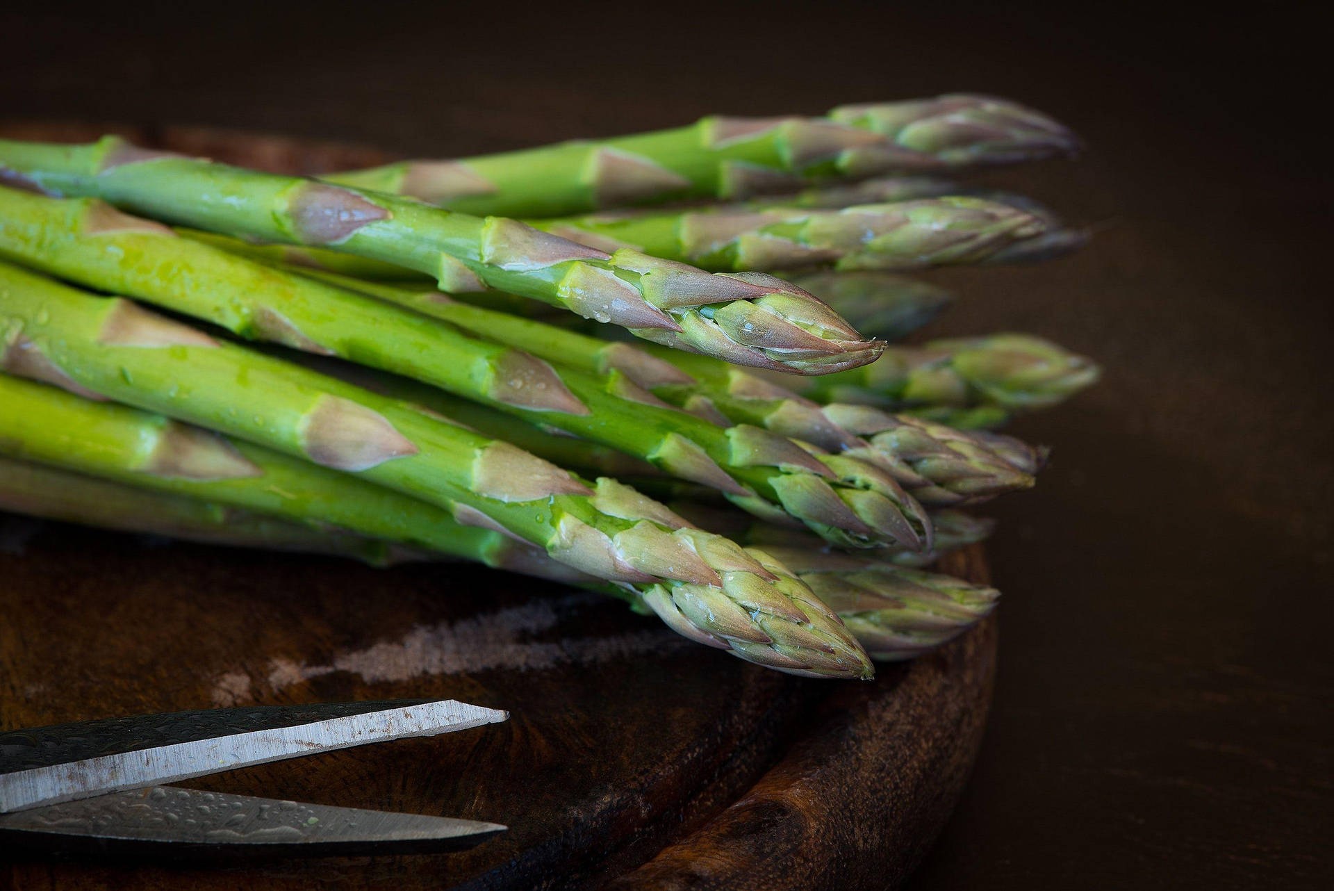 Asparagus With Short Needle Leaves Wallpaper