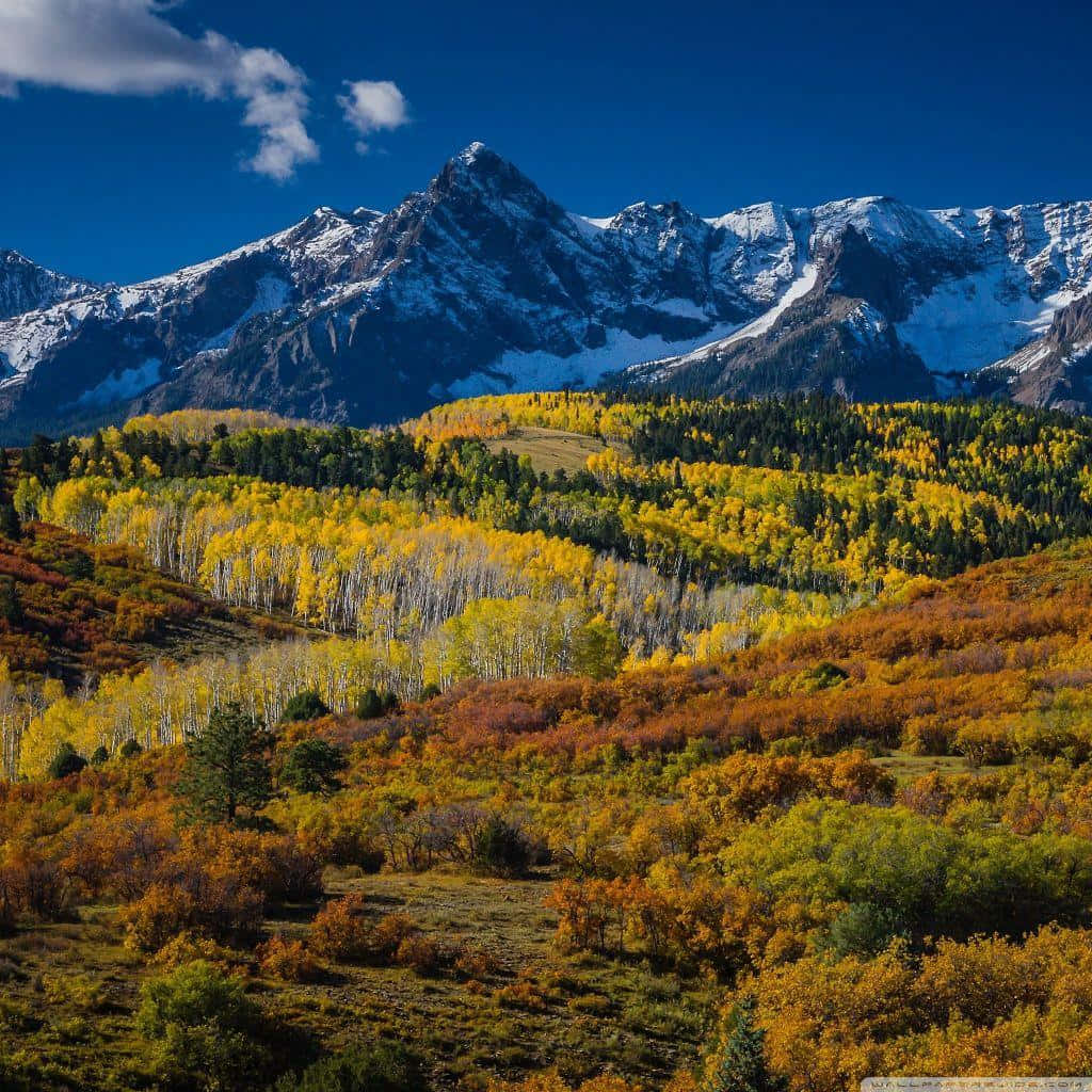Lassensie Sich Von Der Atemberaubenden Schönheit Von Aspen, Colorado Mitreißen.