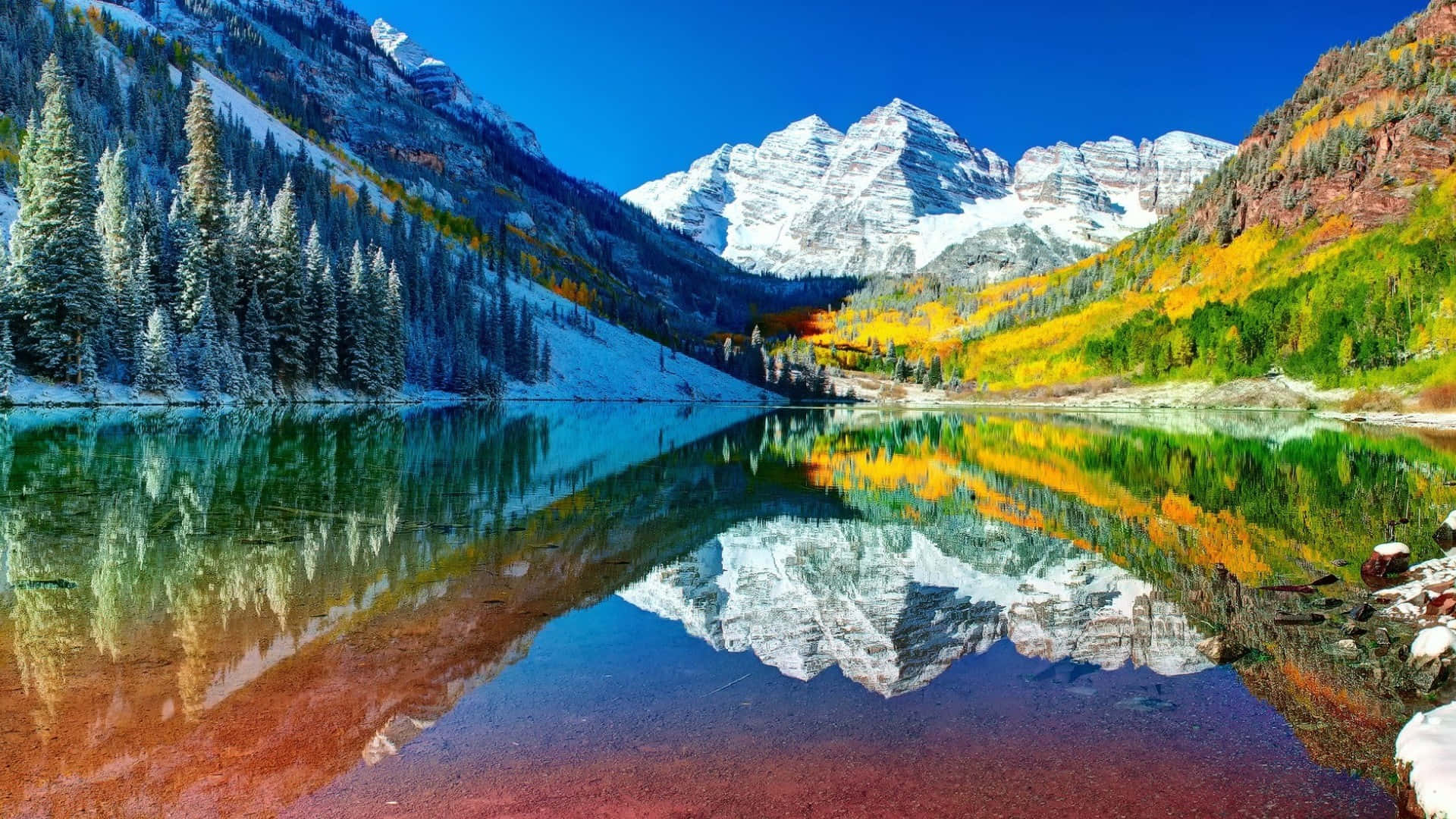 Enjoy the Panoramic View of Colorado's Famous Aspen
