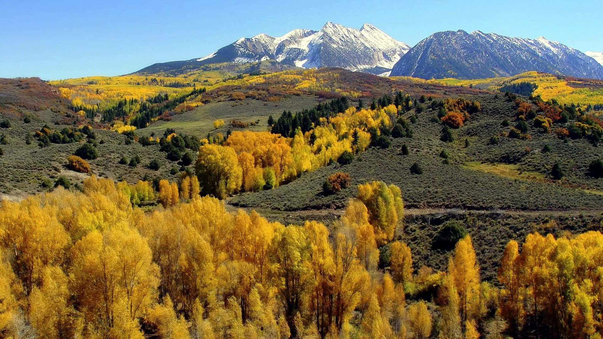 a mountain range with yellow trees and mountains in the background