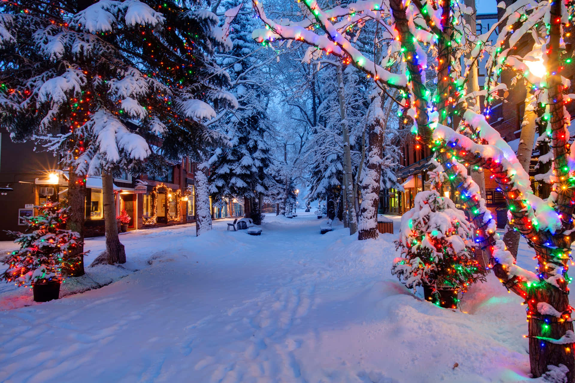 A Snowy Street With Christmas Lights And Trees