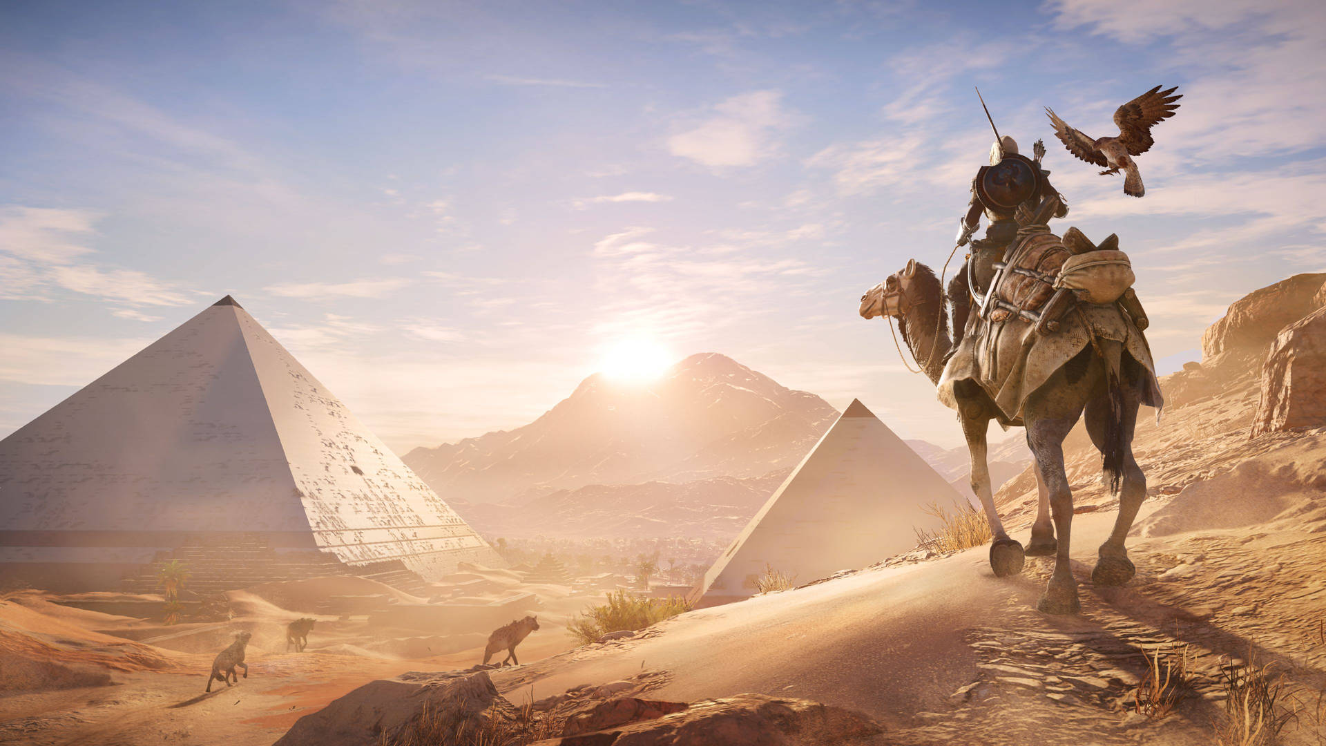 Assassin’s Creed Video Game Desert