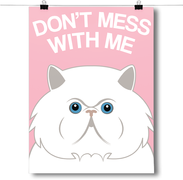 Assertive Persian Cat Poster PNG